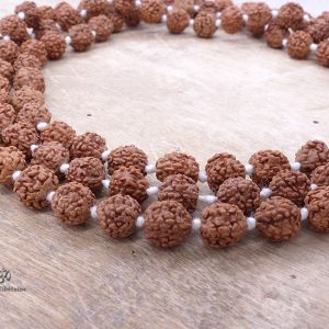 Mala171 Mala de Prières Rudraksha – Image 2