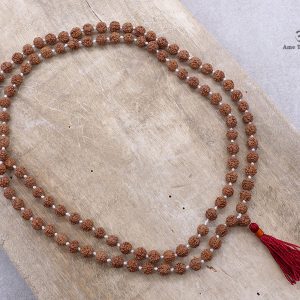 Mala171 Mala de Prières Rudraksha – Image 3